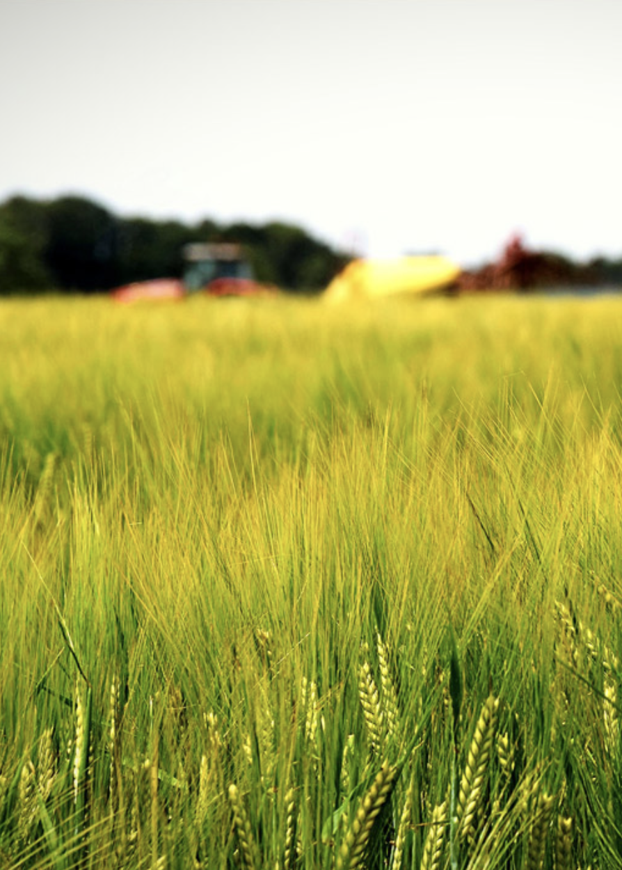 Zrzut ekranu 2024-04-16 o 21.26.02